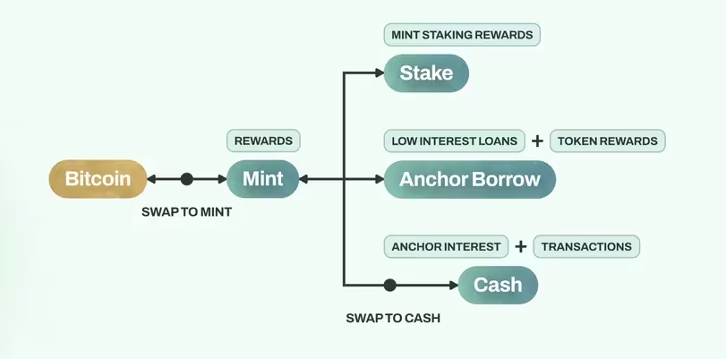 Mint Cash Unveils Groundbreaking Stablecoin Proposal: Revolutionizing Crypto Stability